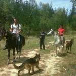 Horse rides Knysna the Garden Route